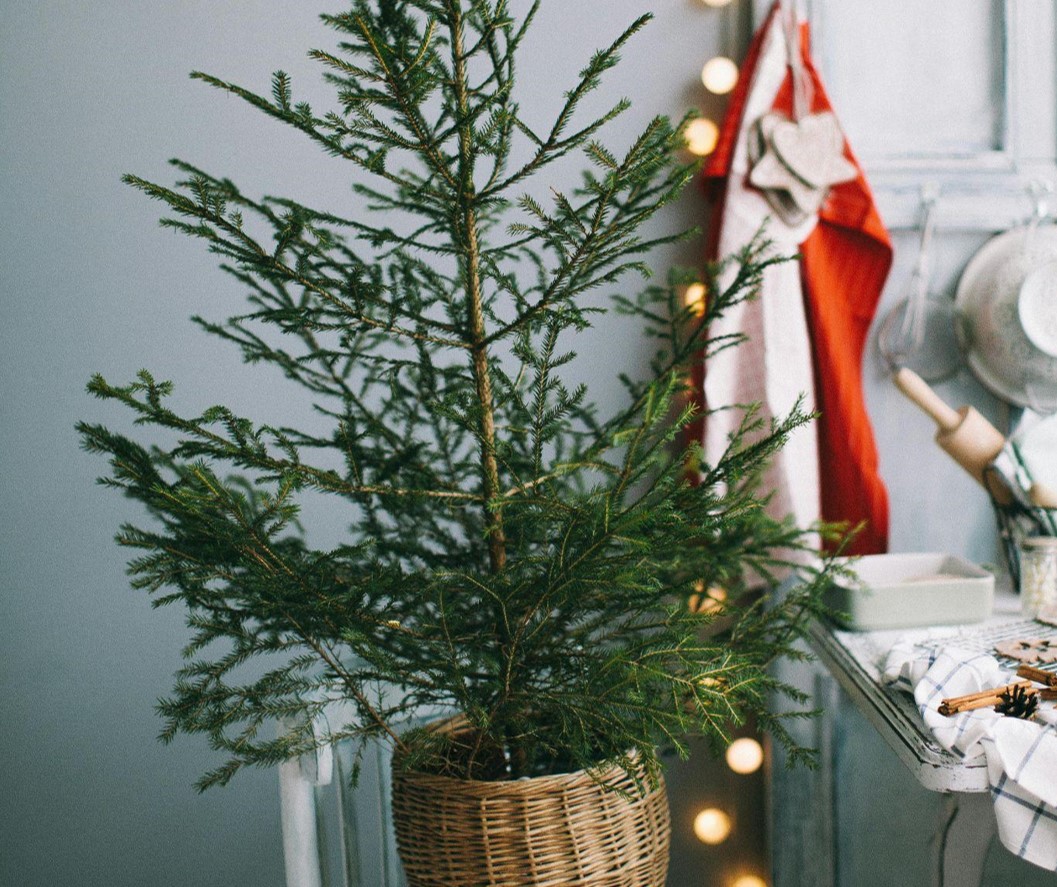 Transform Your Home with Christmas Garland Magic